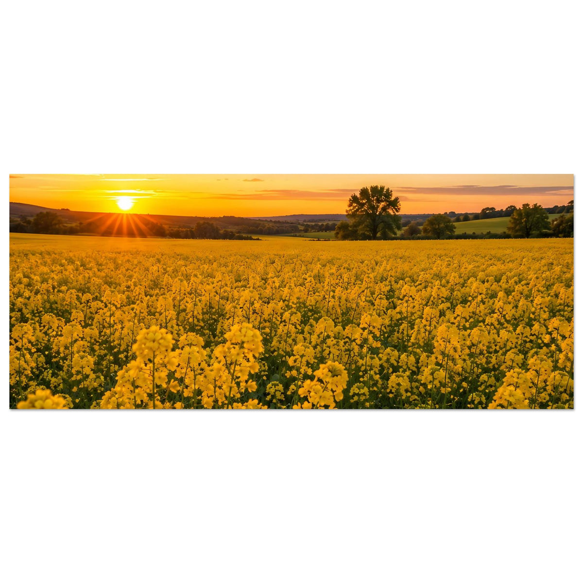 Horizontales Landschaftsposter mit gelbem Blumenfeld, Sonne links und Landschaft im Hintergrund