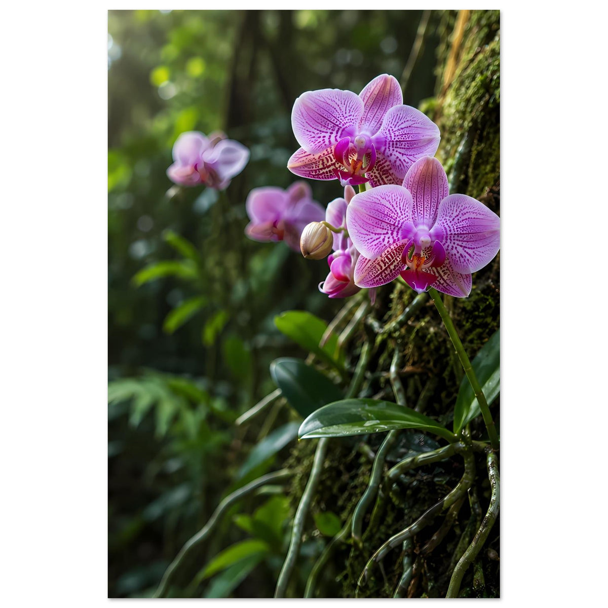 Botanisches Poster mit lila-pinken Orchideenblüten und grünen Blättern, Hochformat