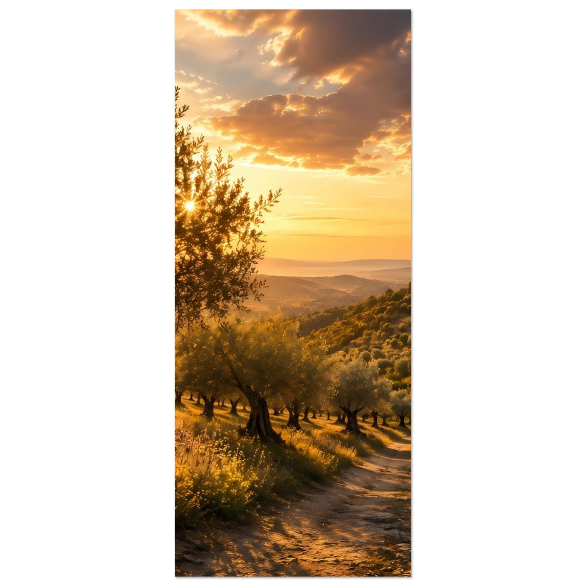 Schmales Hochformat-Poster mit Olivenhain-Feldweg, Sonnenlicht über Hügeln