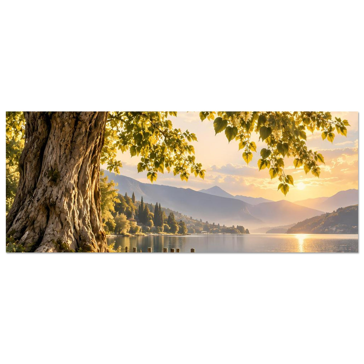 Poster (Querformat): Baumstamm, See und Holzsteg unter Blätterdach im Abendlicht