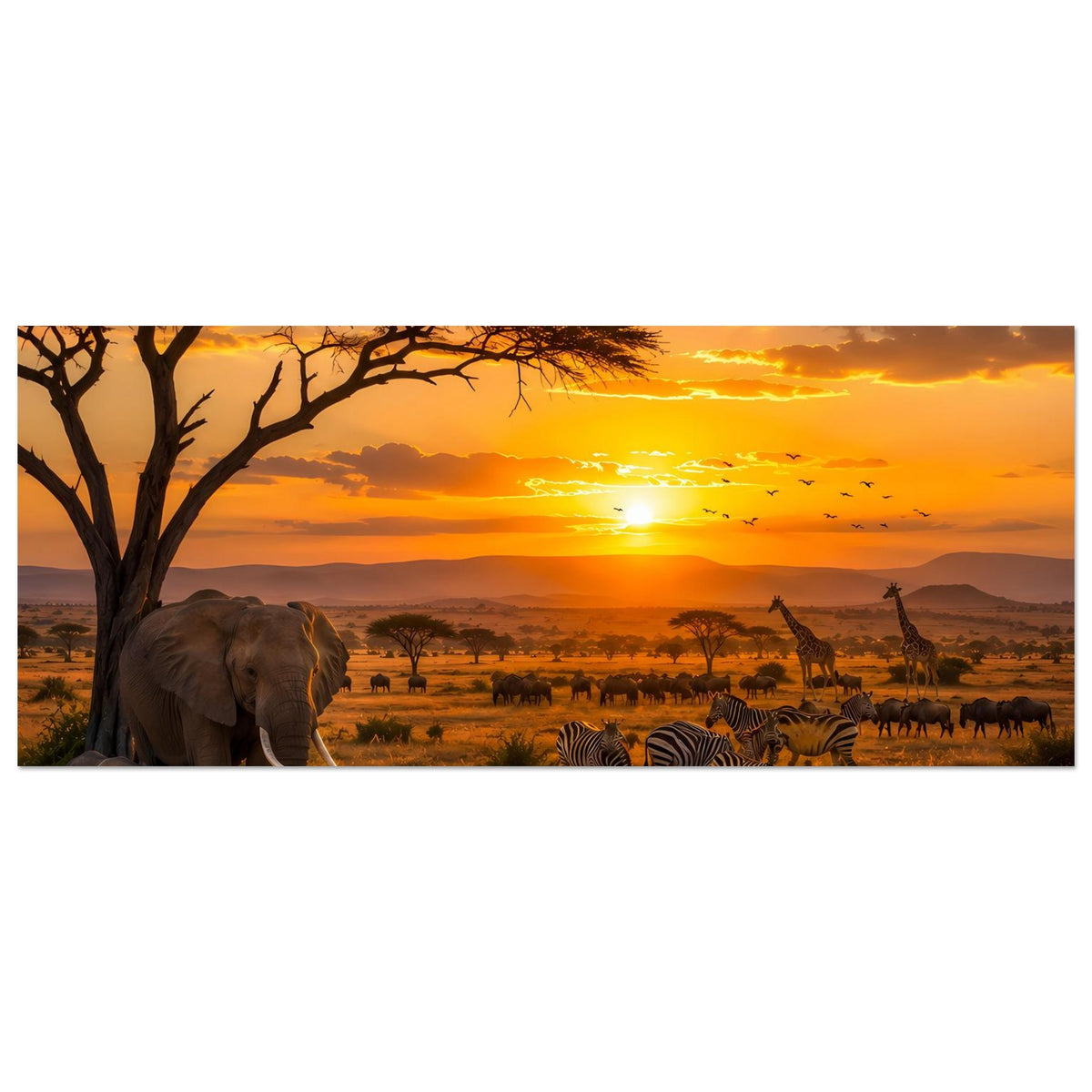 Horizontales Poster mit Elefanten und Zebras am Wasserloch im Savannenabendrot