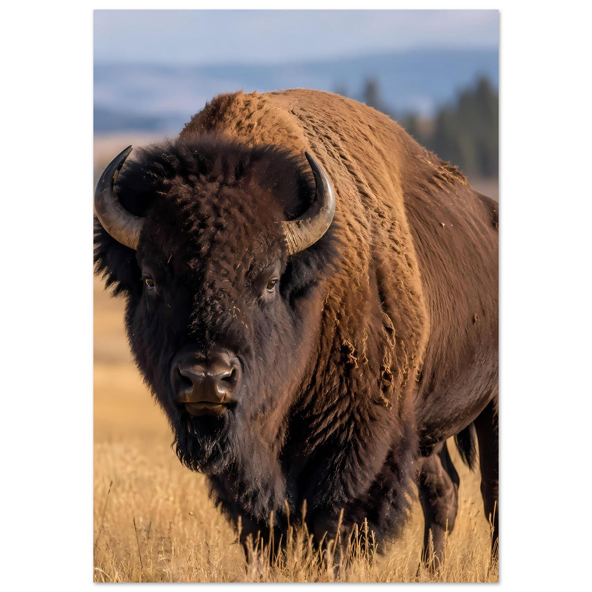 Bison-Wildlife-Poster im Hochformat mit Büffelkopf, braunes Fell und dunkle Mähne