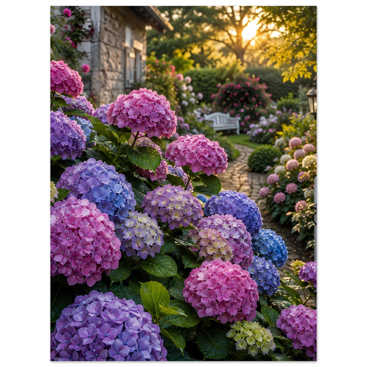 Poster im Hochformat mit Hortensien in Pink, Lila und Blau, Gartenweg im Hintergrund.