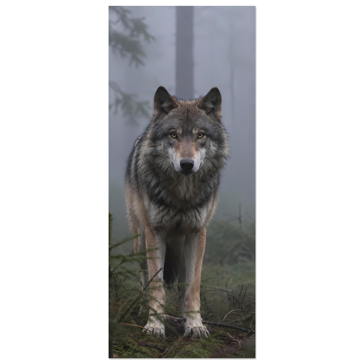Wolfsposter im Hochformat: Frontaler Wolf im nebligen Wald, bis zu den Pfoten sichtbar
