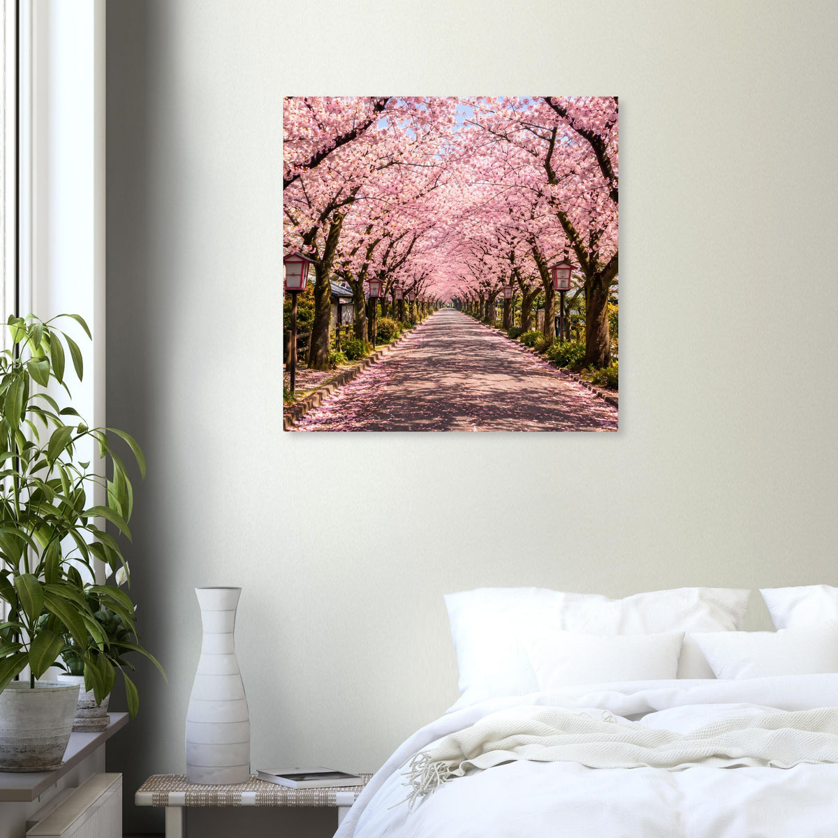 Quadratisches Poster mit rosa Kirschblüten über gepflastertem Weg in der Allee