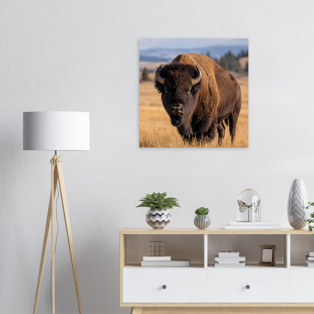 Wildtierposter mit braunem Bison mit Blick nach vorn, quadratisch
