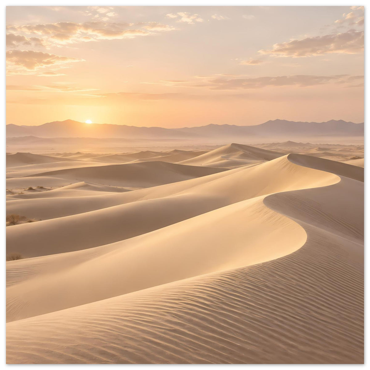 Wüstenposter mit weichen Sanddünen und Sonnenaufgang in warmen Farbtönen