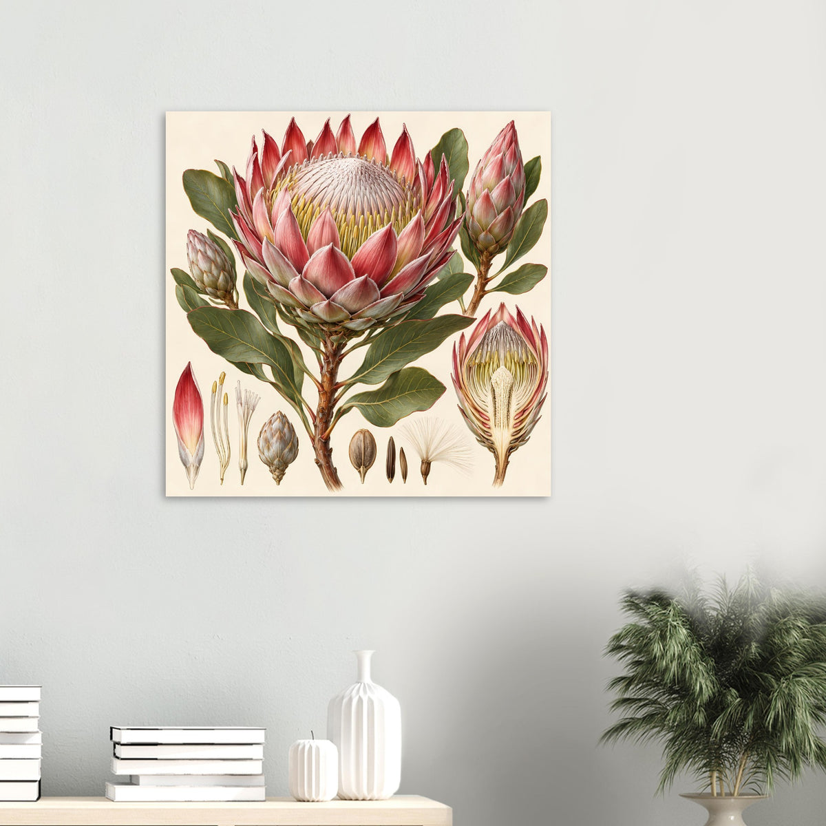 Poster mit Protea-Blumenillustration, zentrale Protea-Blüte und seitliche Blütenansichten