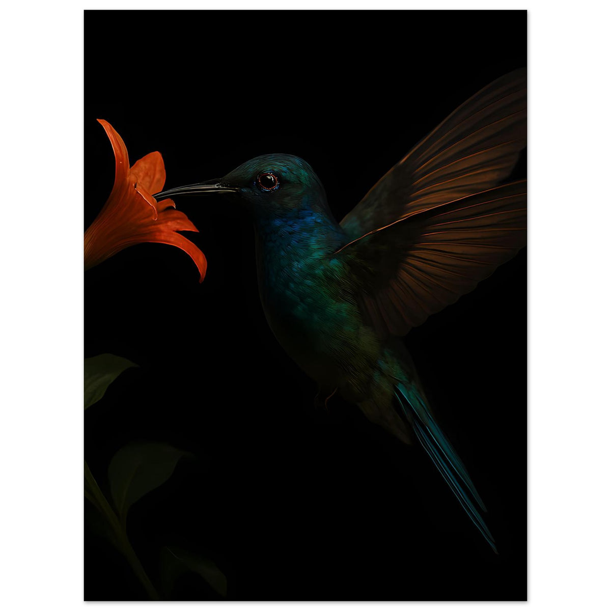 Kunstdruck: Kolibri in Petrol mit orangefarbener Blüte, ausgebreitete Flügel, dunkel