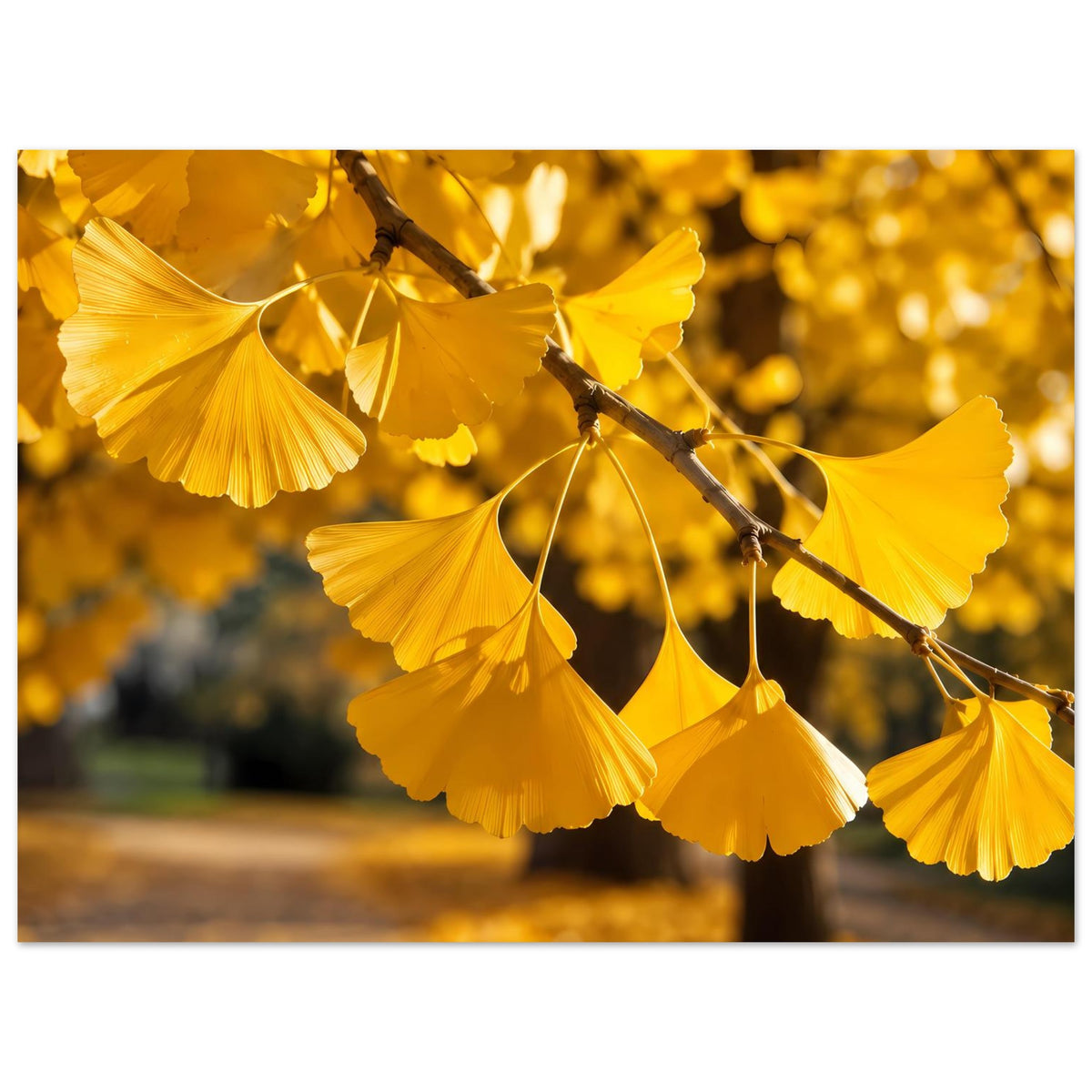 Herbstliches Ginkgoblätter-Poster mit goldenen Blättern, Ast von oben nach rechts