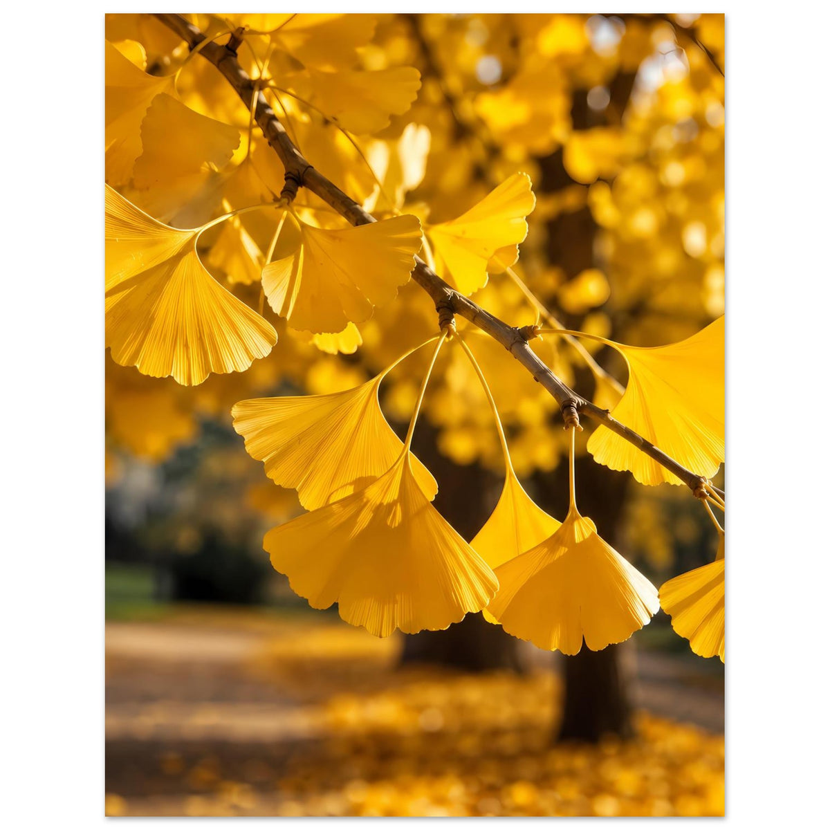 Poster mit Nahaufnahme goldener Ginkgo-Blätter und Zweig, warmes Herbstmotiv