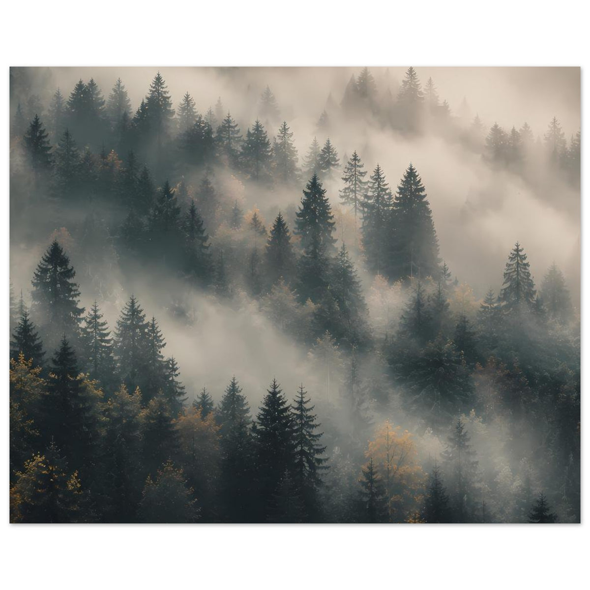 Querformatiges Poster: Nebel über dem Tannenwald, kühle Blau- und Graunuancen