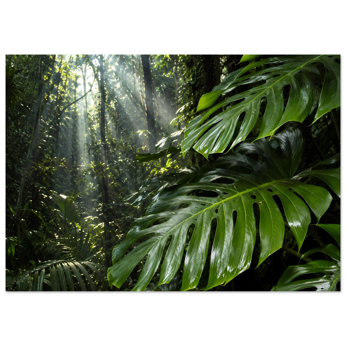 Querformat-Poster mit grünen Dschungelblättern, Nebellicht und dunkler Vegetation