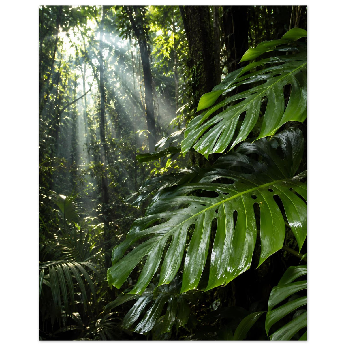 Hochkant-Poster mit grünen Dschungelblättern und hellen Sonnenstrahlen im Wald