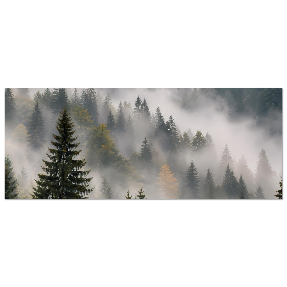 Wandposter, horizontal: Wald im Nebel mit Tannen und dichten Bergsilhouetten