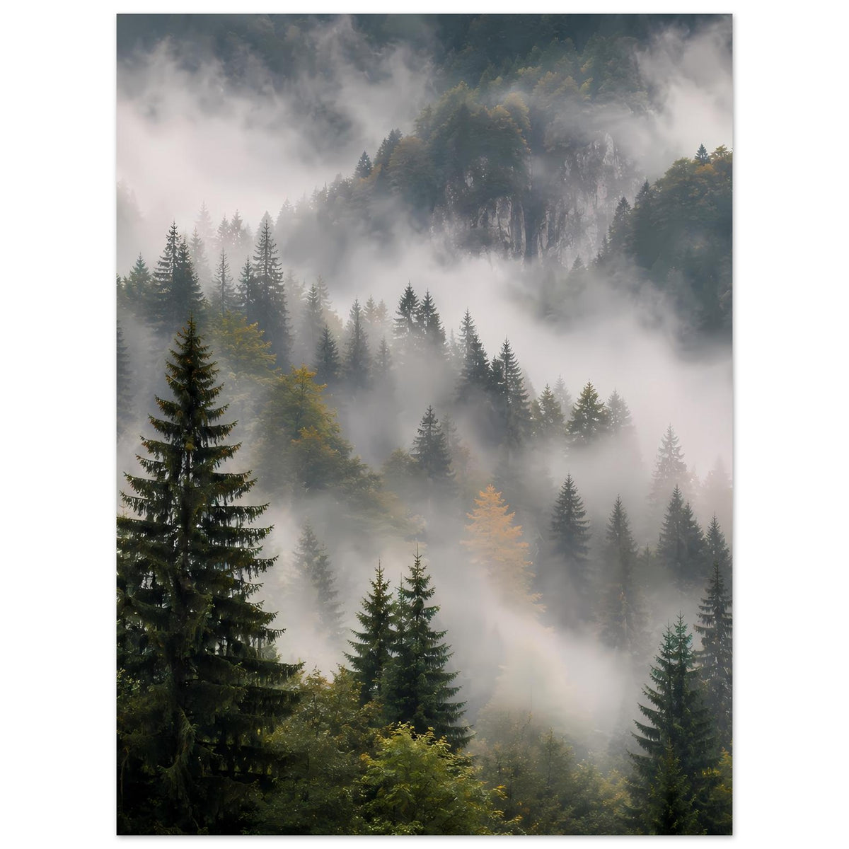 Hochformat-Poster mit Waldlandschaft: Tannen im Nebel, warmes Herbstlaub im Vordergrund