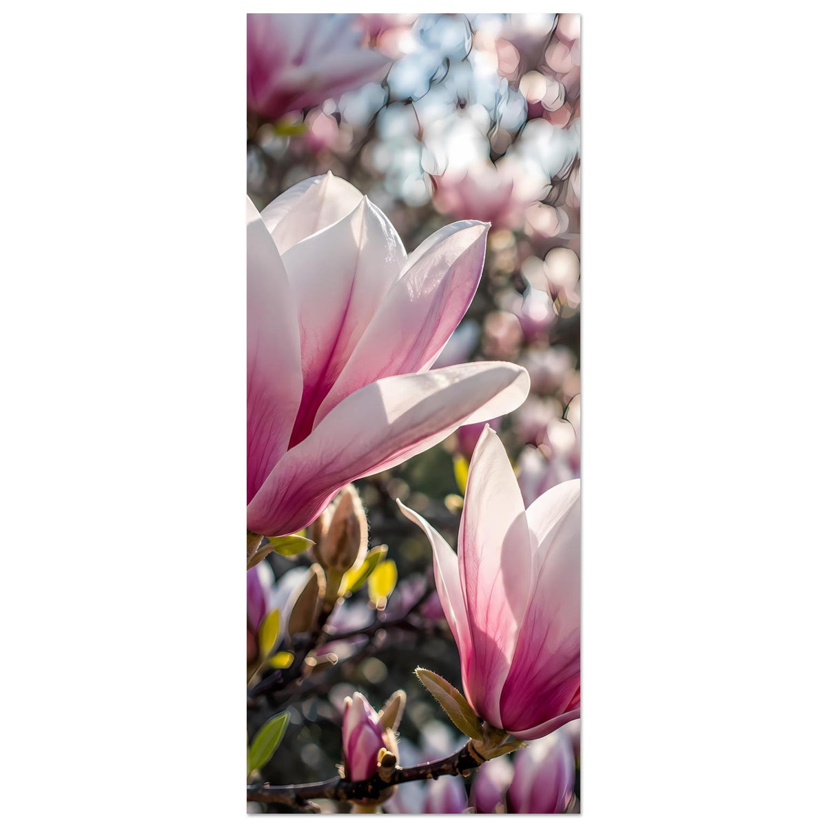 Poster-Ausschnitt mit rosafarbenen Magnolienblüten, vertikal angeschnitten