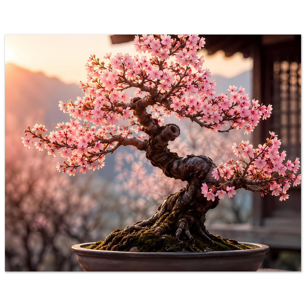 Poster: Bonsai mit rosa Blüten über dunkler Schale, seitliche Baumansicht
