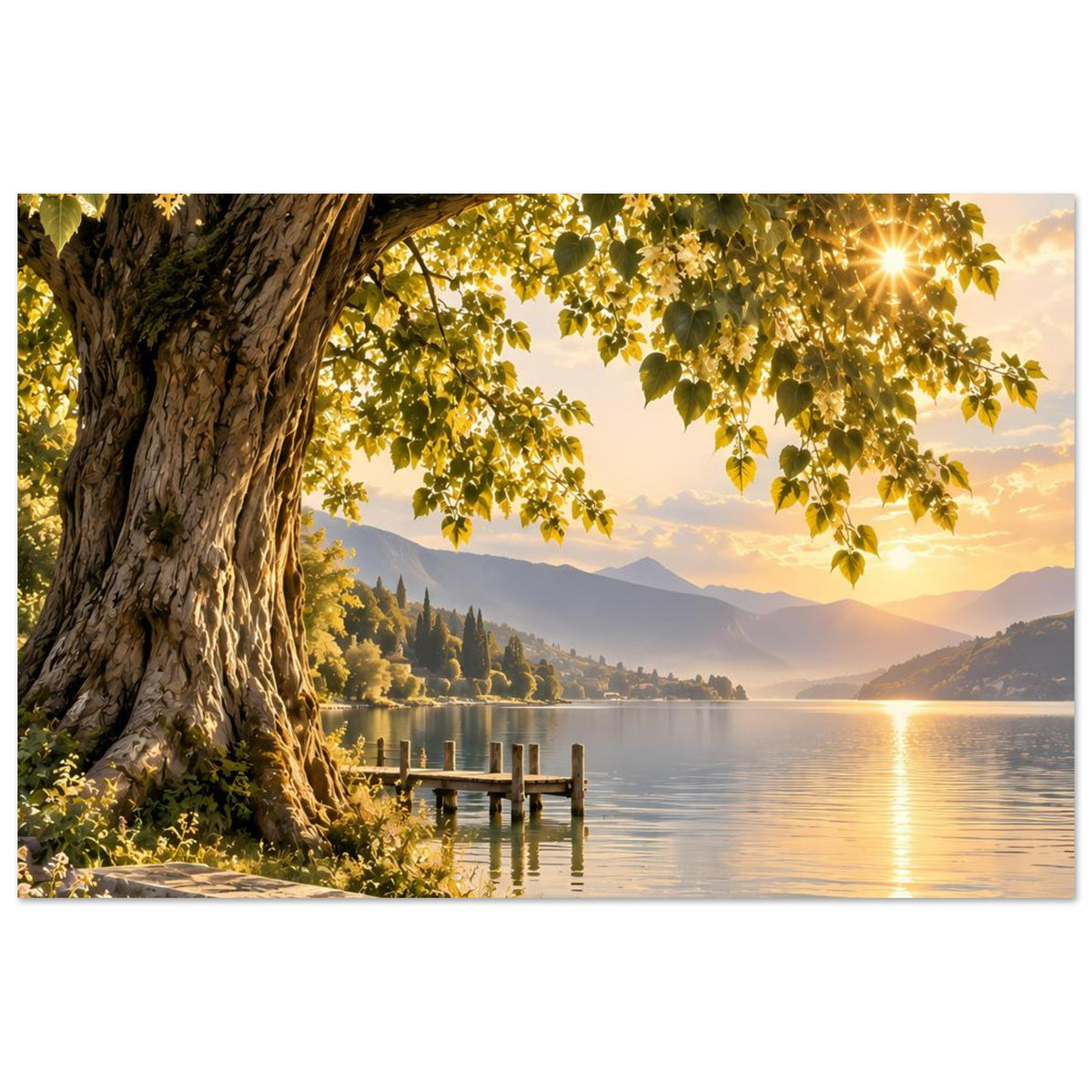 Poster: alter Baum am See, grüne Blattkrone, goldene Abendsonne und Steg am Ufer