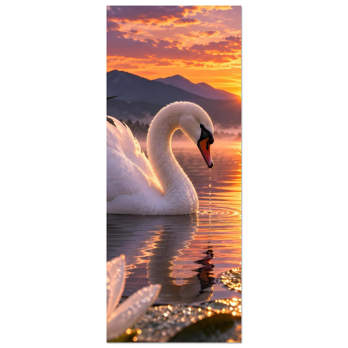 Hochkant-Poster mit weißem Schwan am Seeufer, Seerosen und goldener Sonnenuntergang