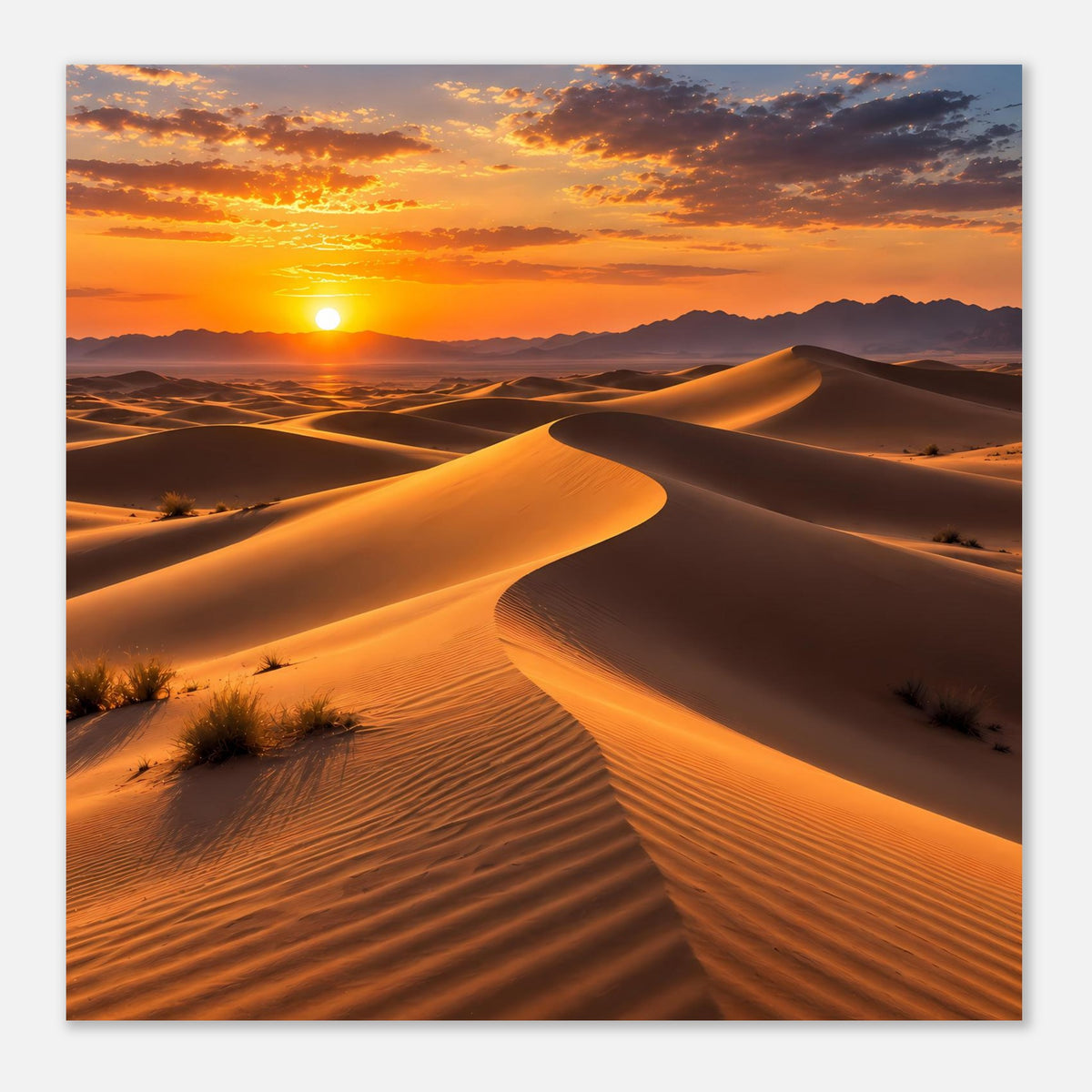 Wüsten-Sonnenuntergang-Poster im quadratischen Format: goldene Dünenlandschaft im Abendhimmel