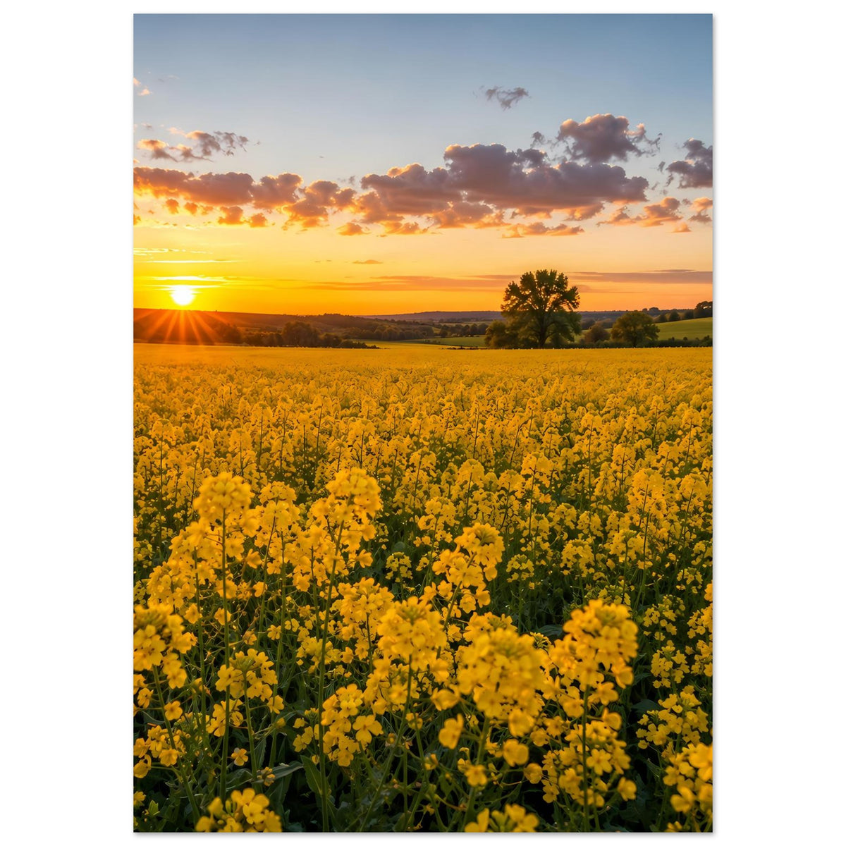 Vertikales Landschaftsposter mit gelbem Blumenmeer, Sonne am Horizont und grünen Feldern
