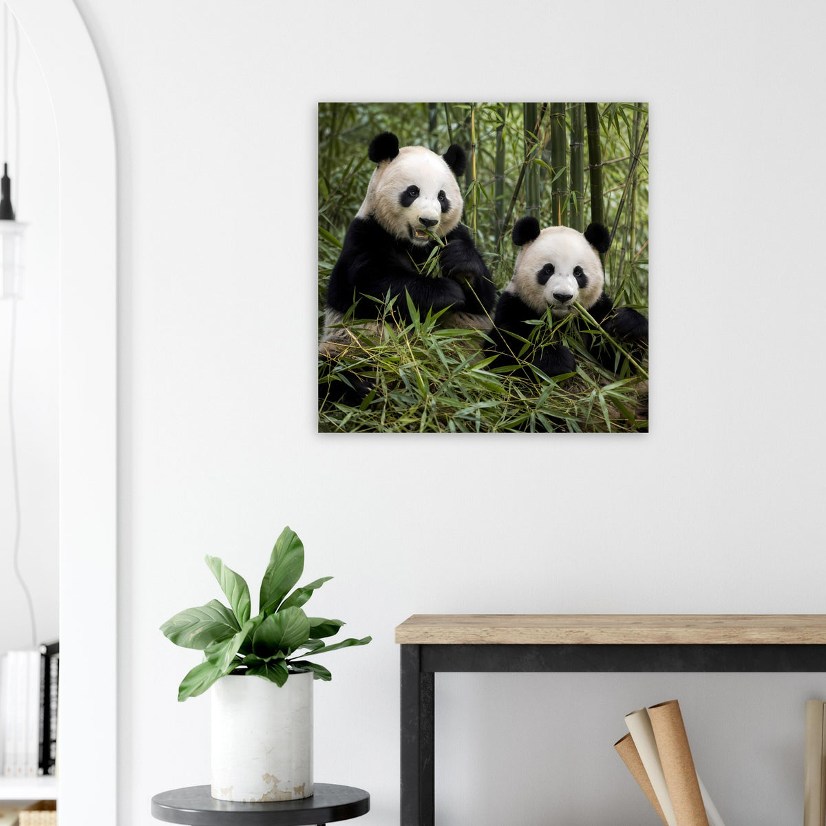 Wandposter mit zwei Pandas im Bambus, quadratisches Motiv im Rahmen