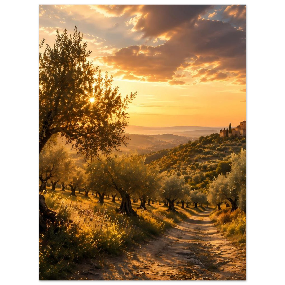 Poster: Feldweg im Olivenhain, Dorf in der Ferne, goldener Sonnenuntergang