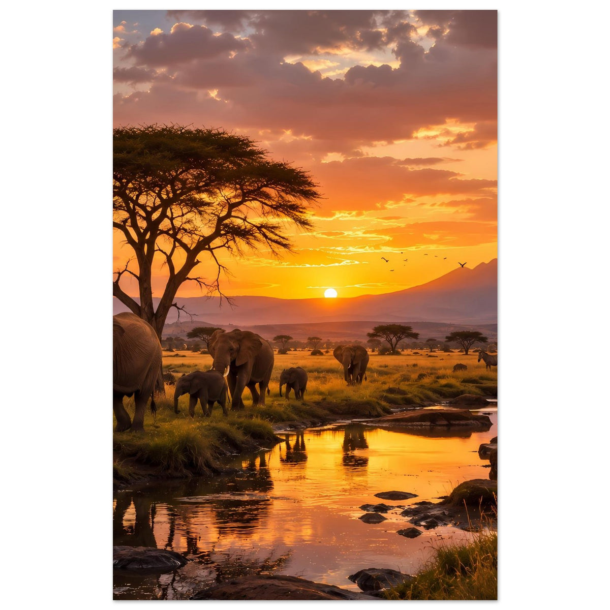 Elefanten-Savannenposter: Akazienbaum links, Elefanten am Fluss bei goldenem Sonnenuntergang.