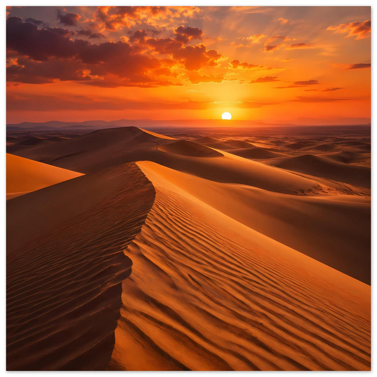 Poster mit Sonnenuntergang über Wüsten-Dünen, warme Farbtöne, quadratische Ansicht