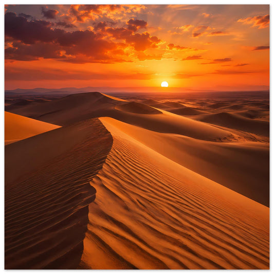 Poster mit Sonnenuntergang über Wüsten-Dünen, warme Farbtöne, quadratische Ansicht