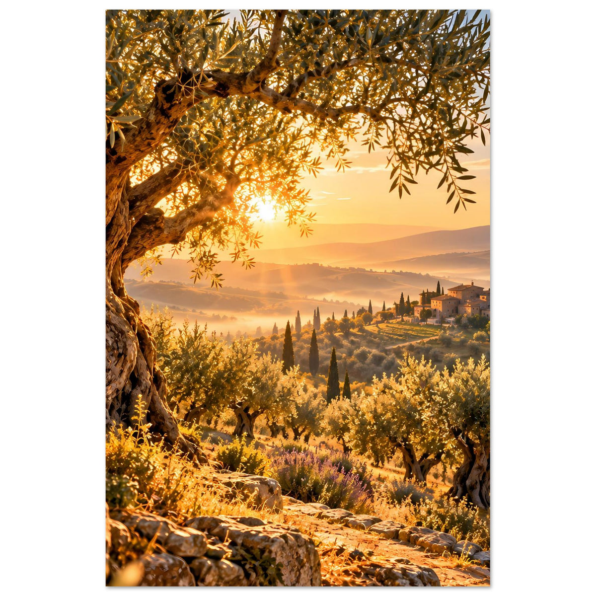 Vertikales Landschaftsposter: Sonnenaufgang über Olivenhain, knorriger Olivenbaum, Zypressen