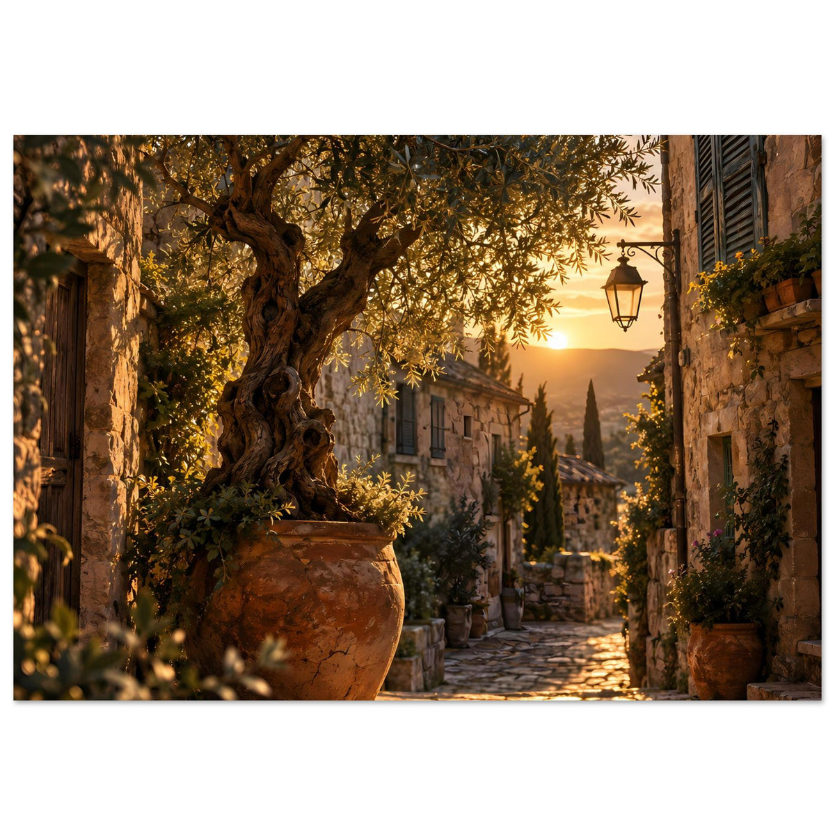 Sonnenuntergang-Poster: Olivenbaum im Topf, warme Goldtöne und Gasse mit Laterne im Hintergrund