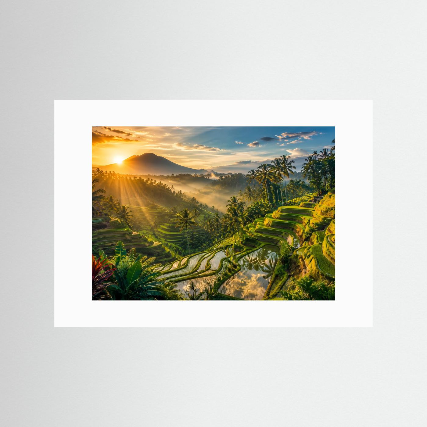 Tropische Reisterrassen bei Sonnenaufgang | Bali Dschungel & Natur Panorama Poster Querformat