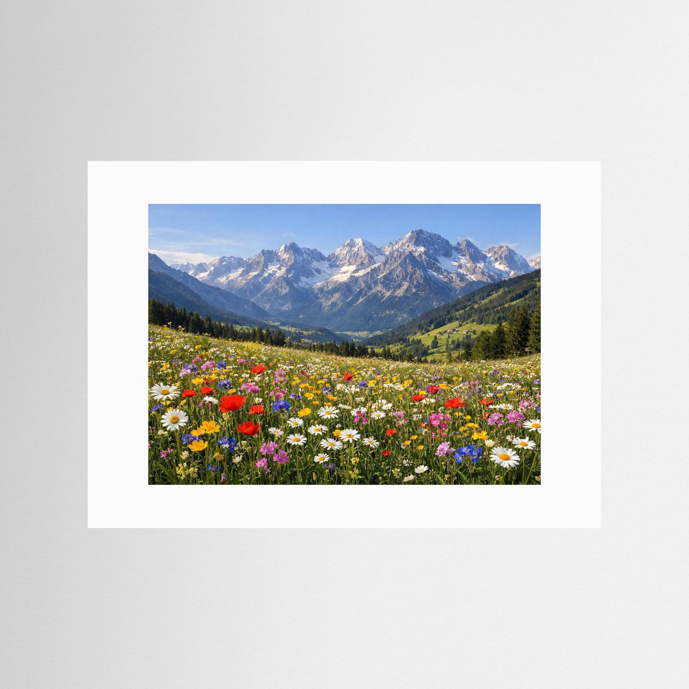 Blühende Alpenwiese vor schroffen Gipfeln | Panorama Berg & Natur Poster Querformat
