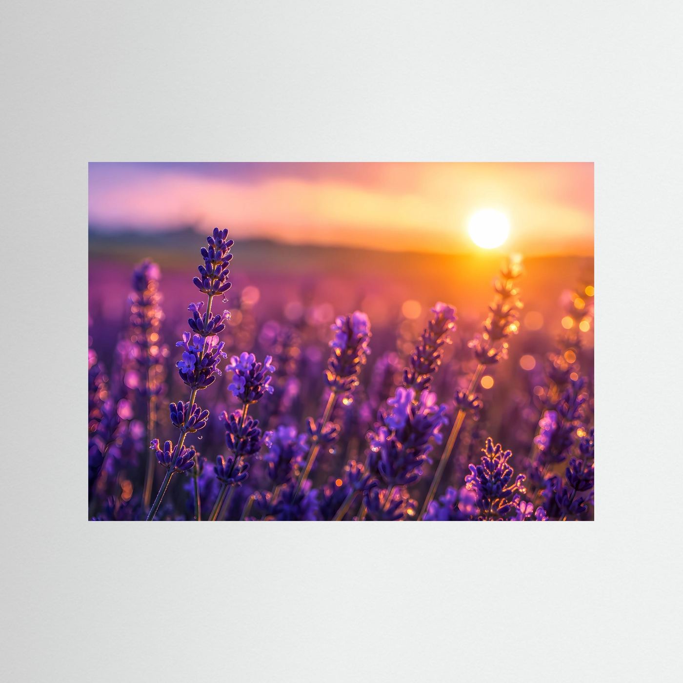 Lavendel Sonnenuntergang Poster | Provence Blumenfeld Wandbild | Romantische Naturfotografie mit Goldenem Abendlicht