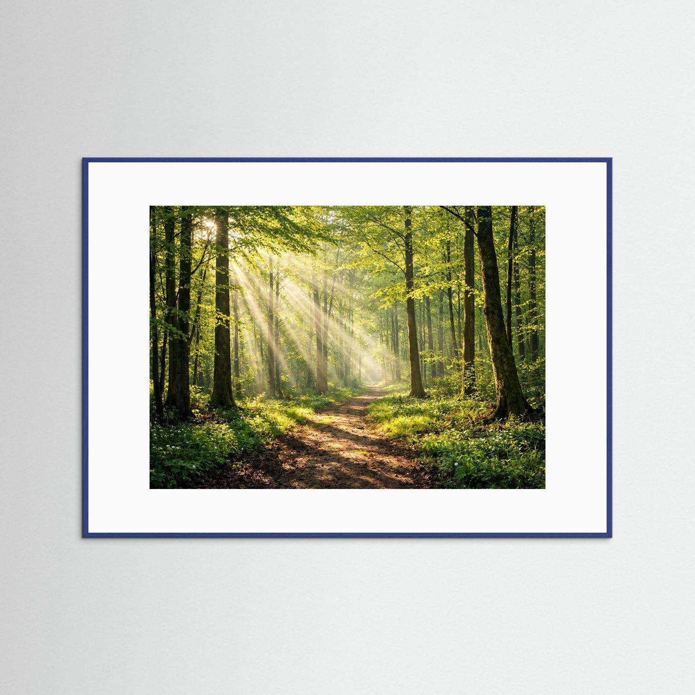 Gerahmtes Querformat-Poster mit Waldweg und Sonnenstrahlen, blau gerahmt
