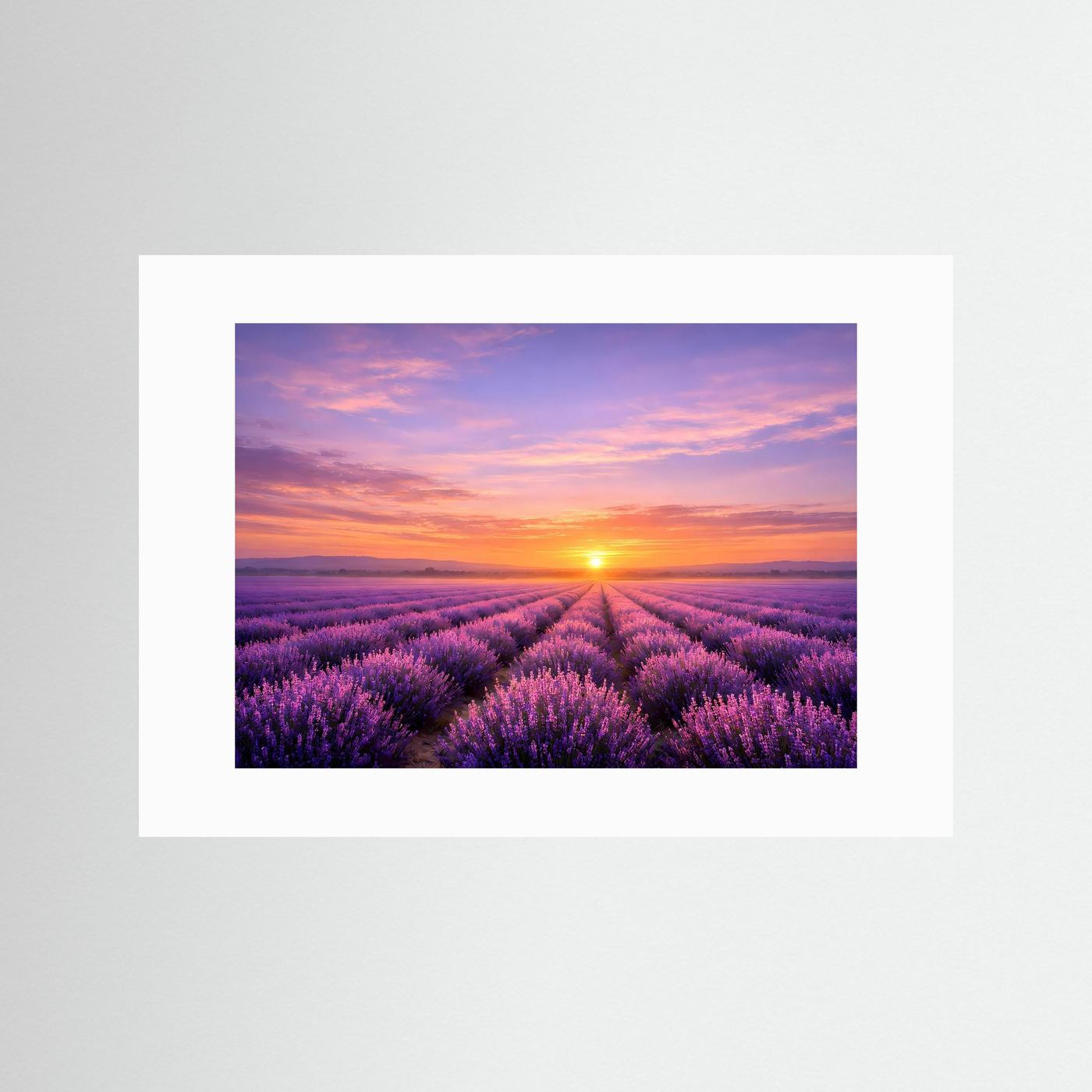 Poster im weißen Passepartout mit Lavendelfeld und Sonnenuntergang