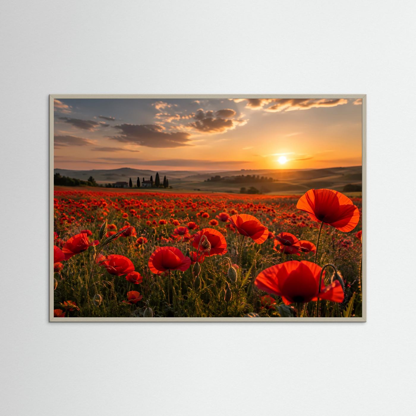Rotes Mohnblumenfeld im Sonnenuntergang | Romantische Landschaft