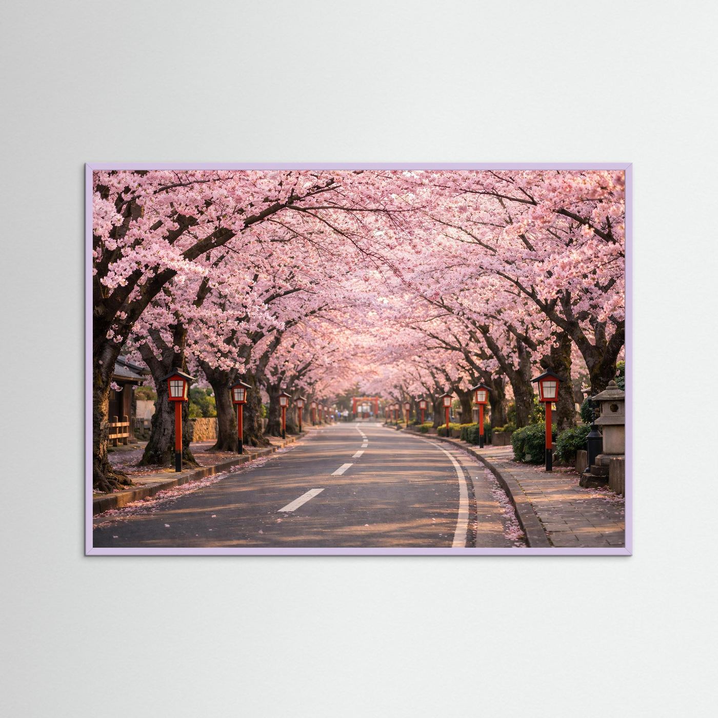 Kirschblütenallee-Panorama-Poster mit violettem Rahmen, pinke Kirschblüten über der Allee.