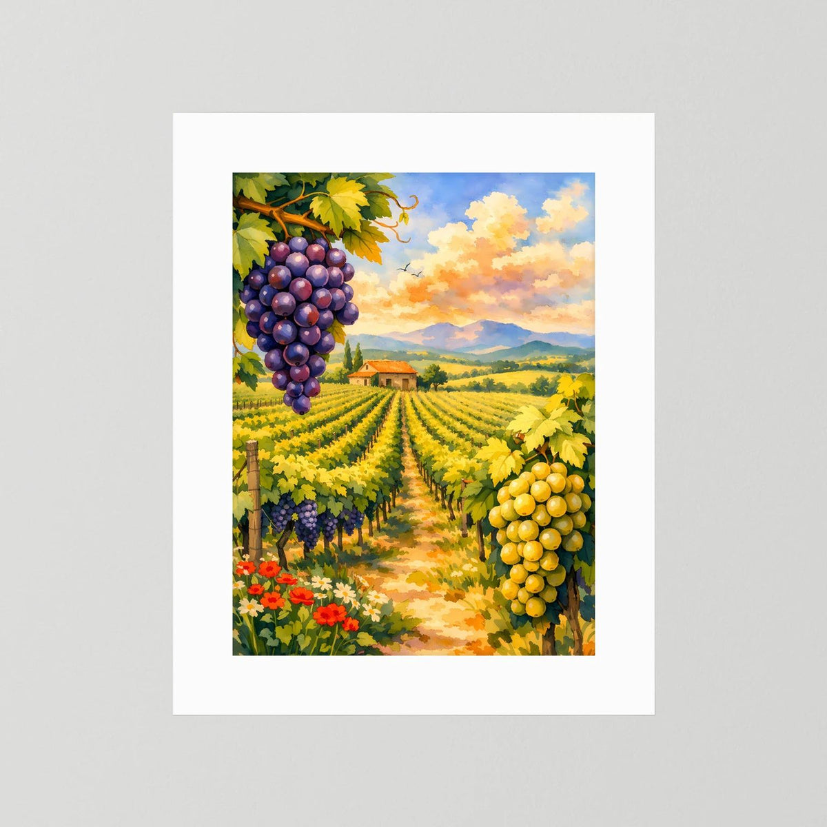 Hochformat-Wandbild Weinberge mit Trauben, ohne Rahmen