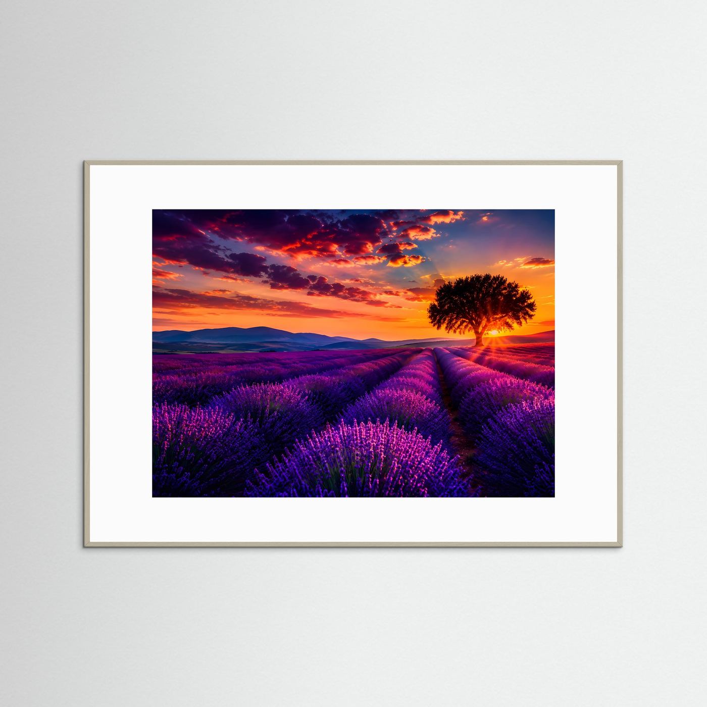 Querformat-Poster mit violetten Lavendelfeldern, Baum und Sonnenuntergang, hell gerahmt