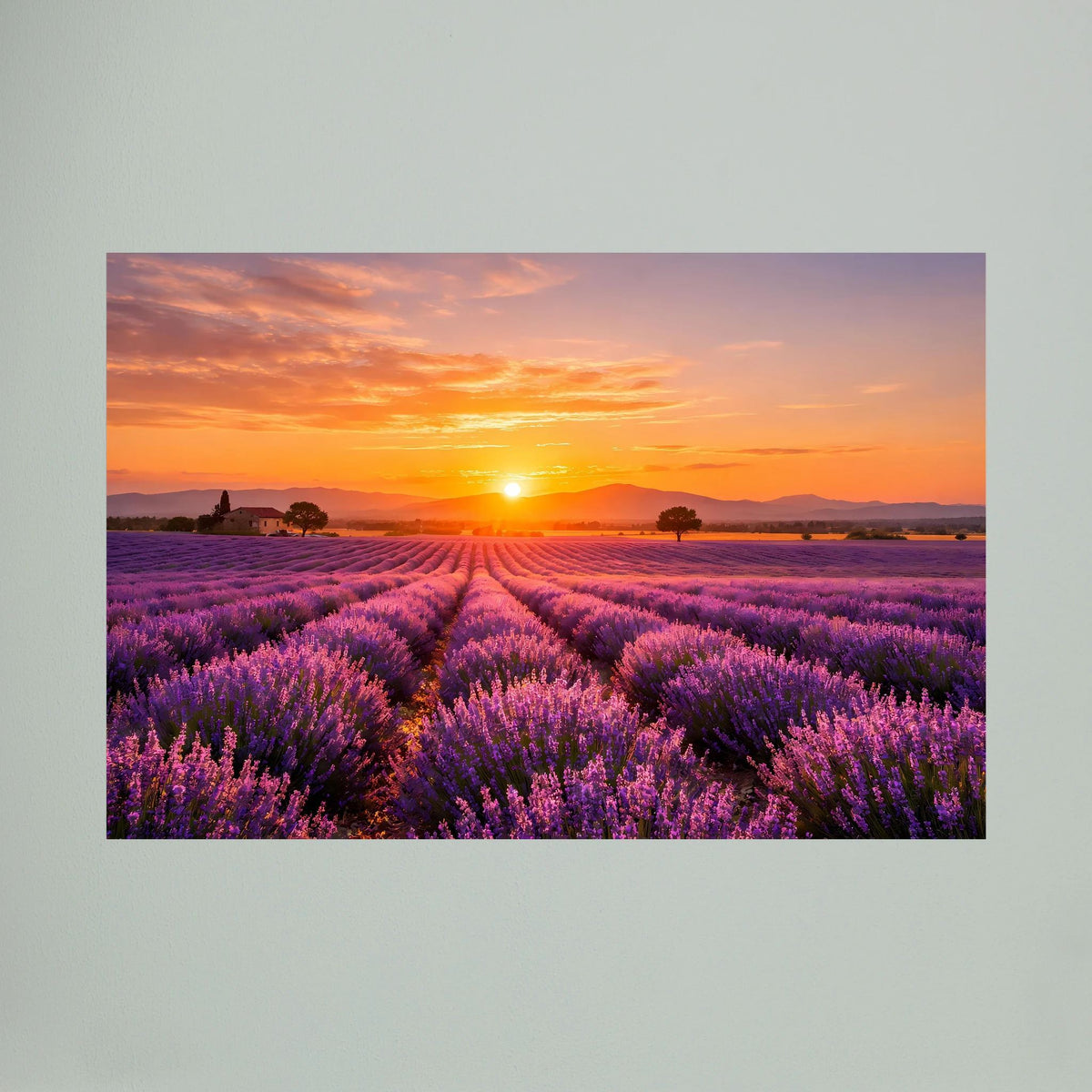 Querformat-Wandbild mit Lavendelfeld bei Sonnenuntergang, leuchtende Sonne im Bild
