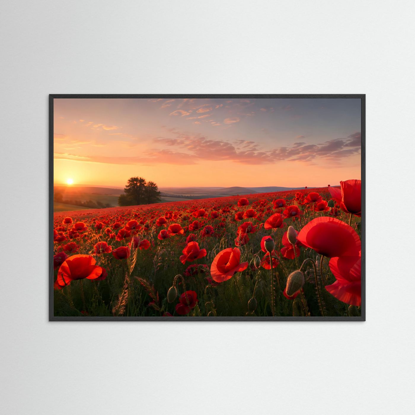 Querformat-Poster mit rotem Mohnblumenfeld bei Sonnenuntergang, schwarzer Rahmen