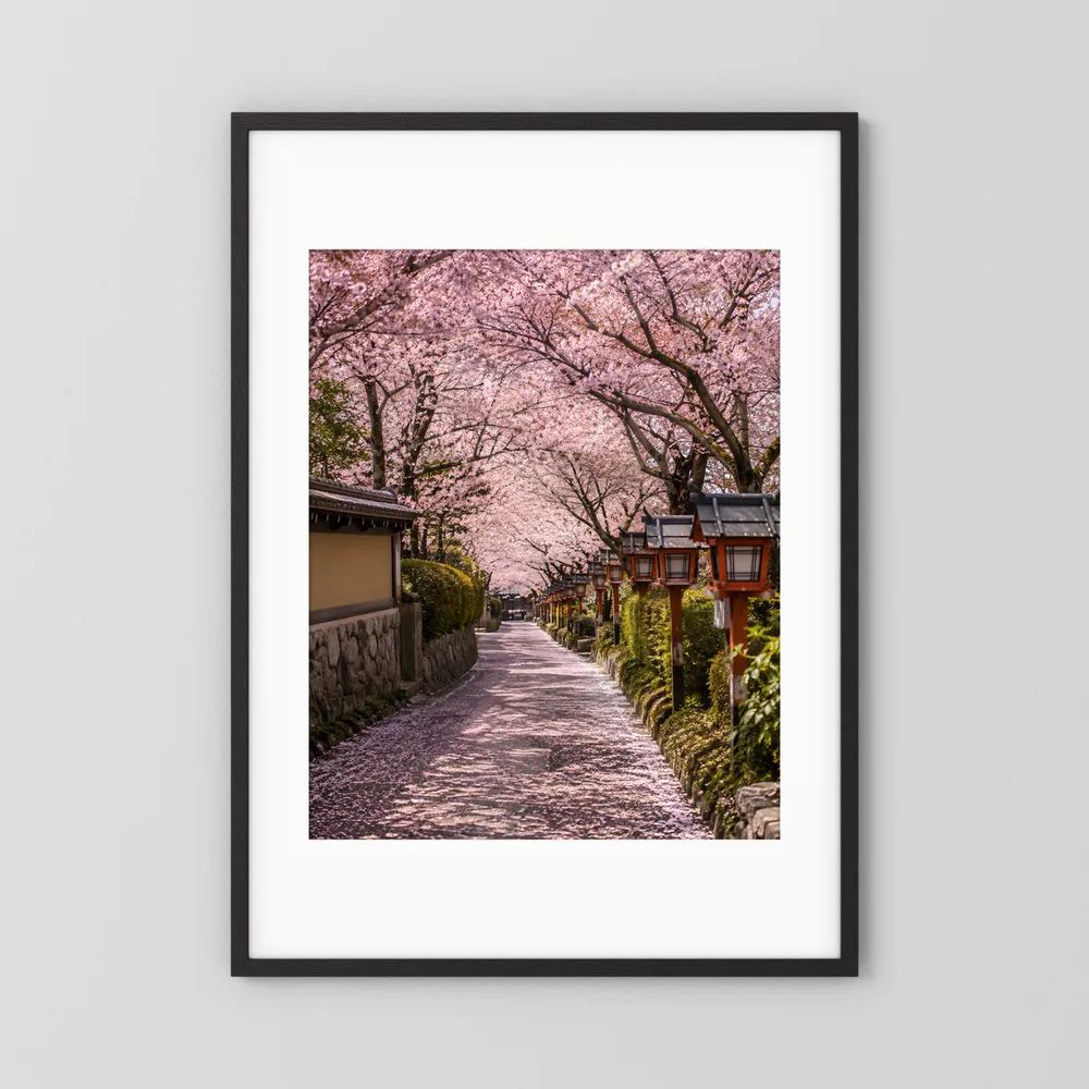 Wandposter im Hochformat mit schwarzem Rahmen und weißem Passepartout, Kirschblütenallee