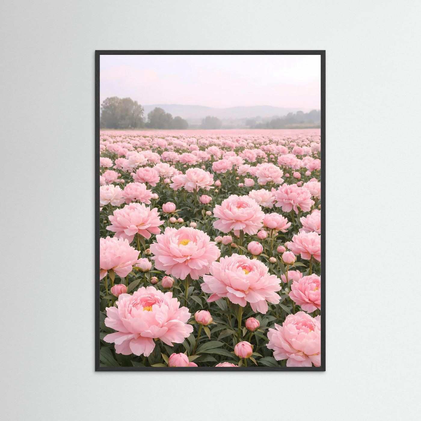 Poster Pfingstrosenfeld im Morgendunst | Rosa Blumenwiese Wandbild