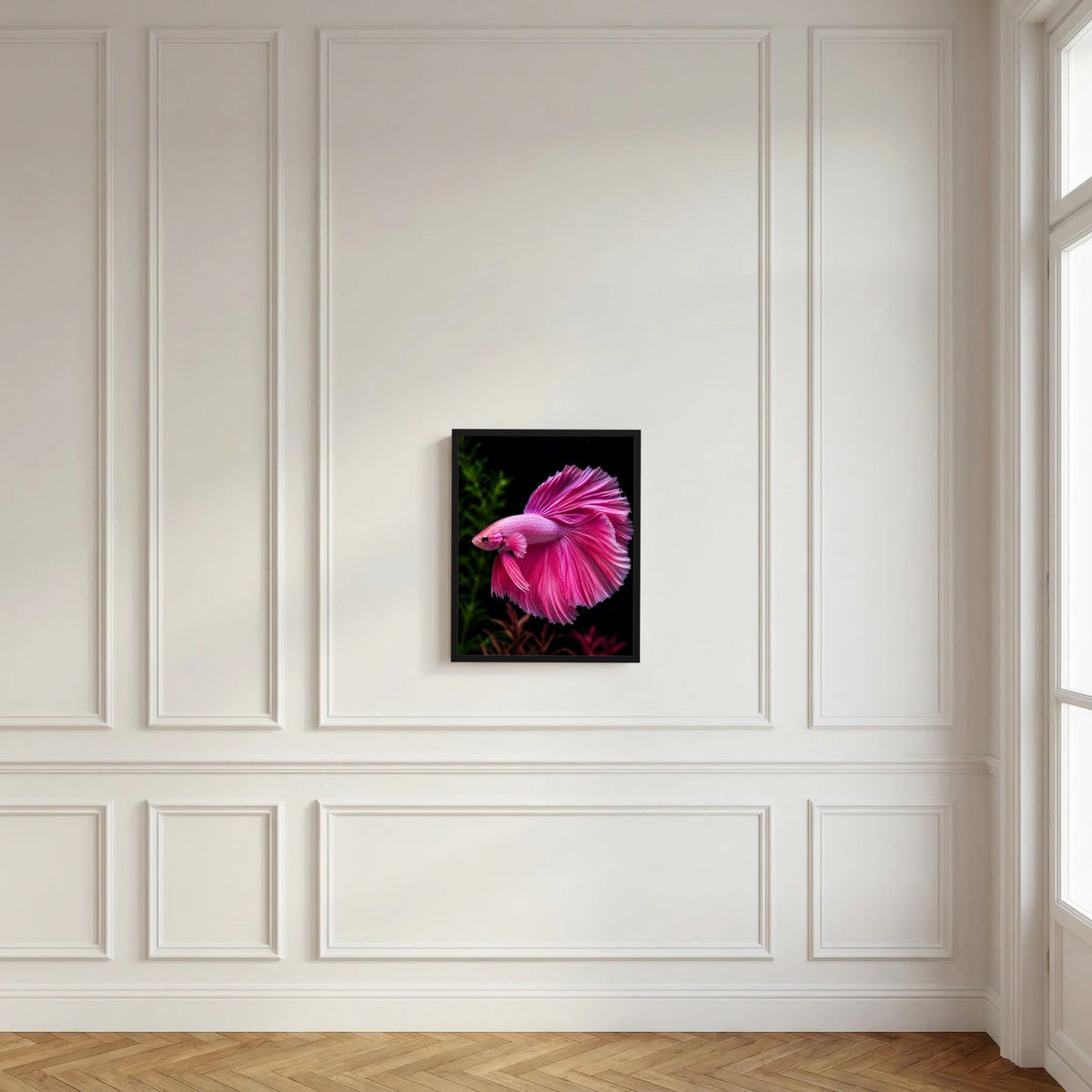 Tierposter im Hochformat mit rosa Kampffisch im schwarzen Rahmen