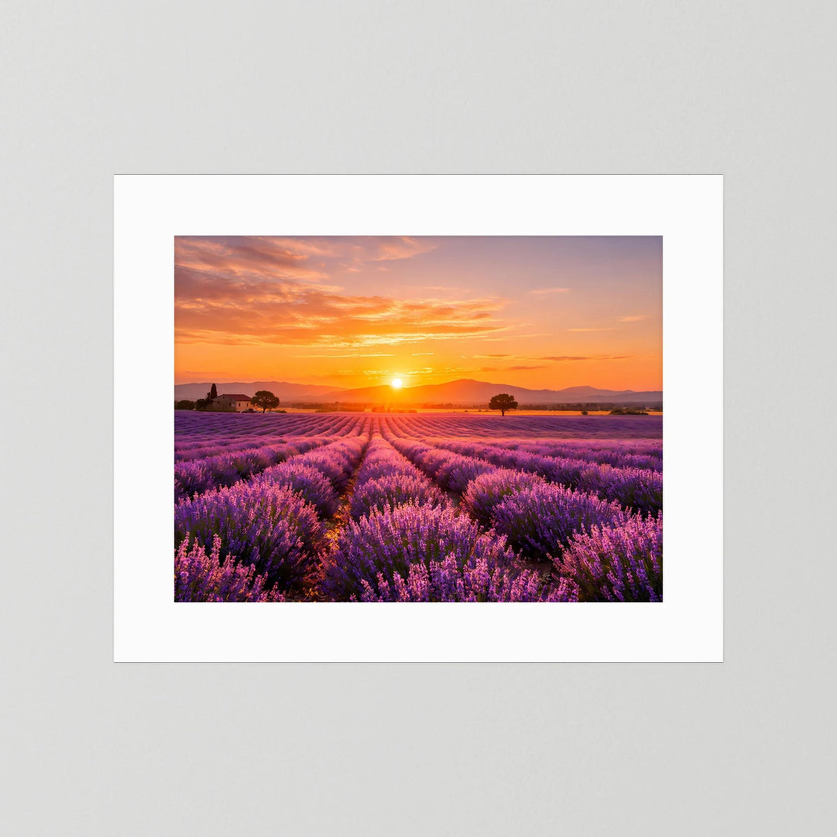 Lavendelfeld-Wandbild im Querformat mit Sonnenuntergang, weißer Passepartout-Rahmen