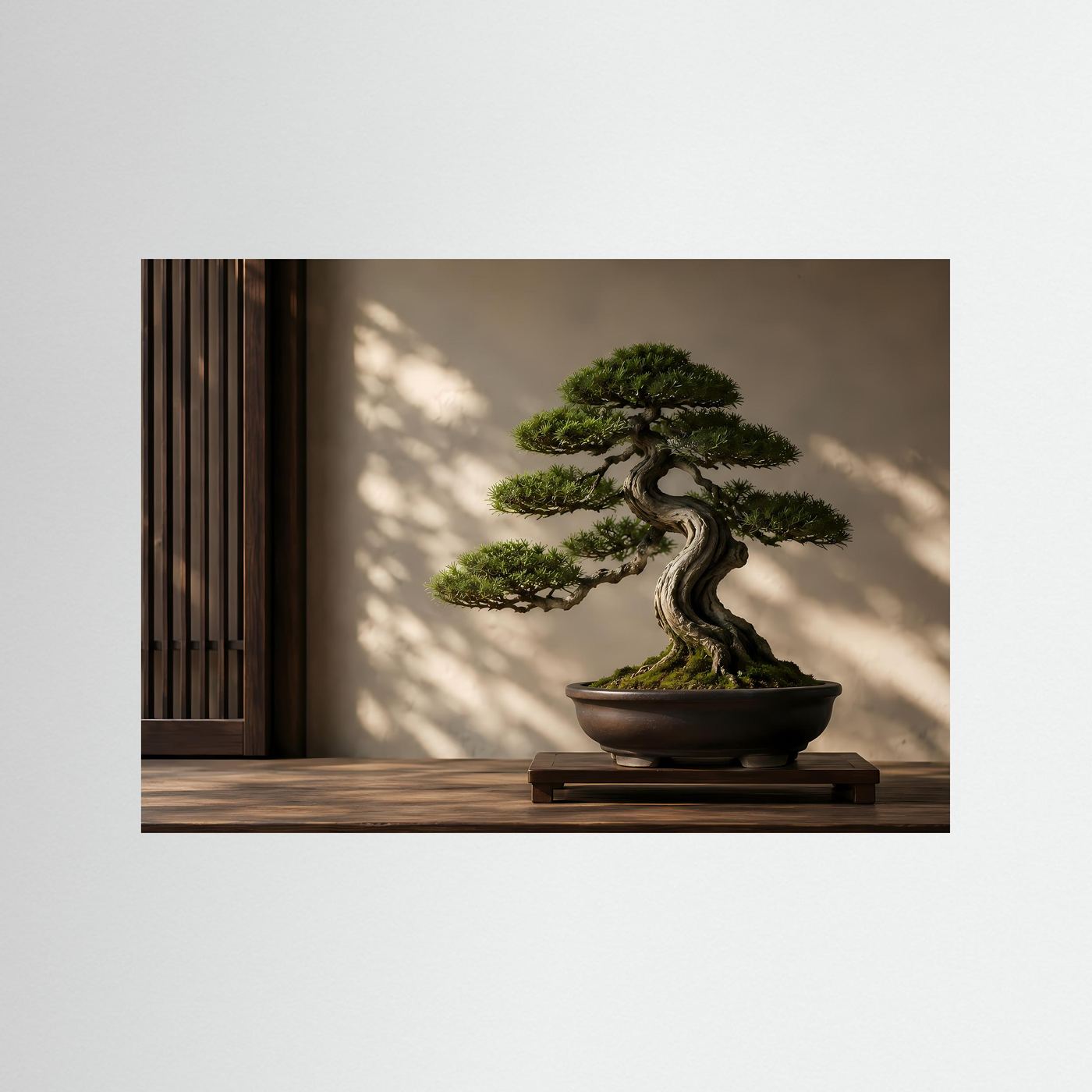 Japanischer Bonsai – Zen & Harmonie | Minimalistische Naturkunst