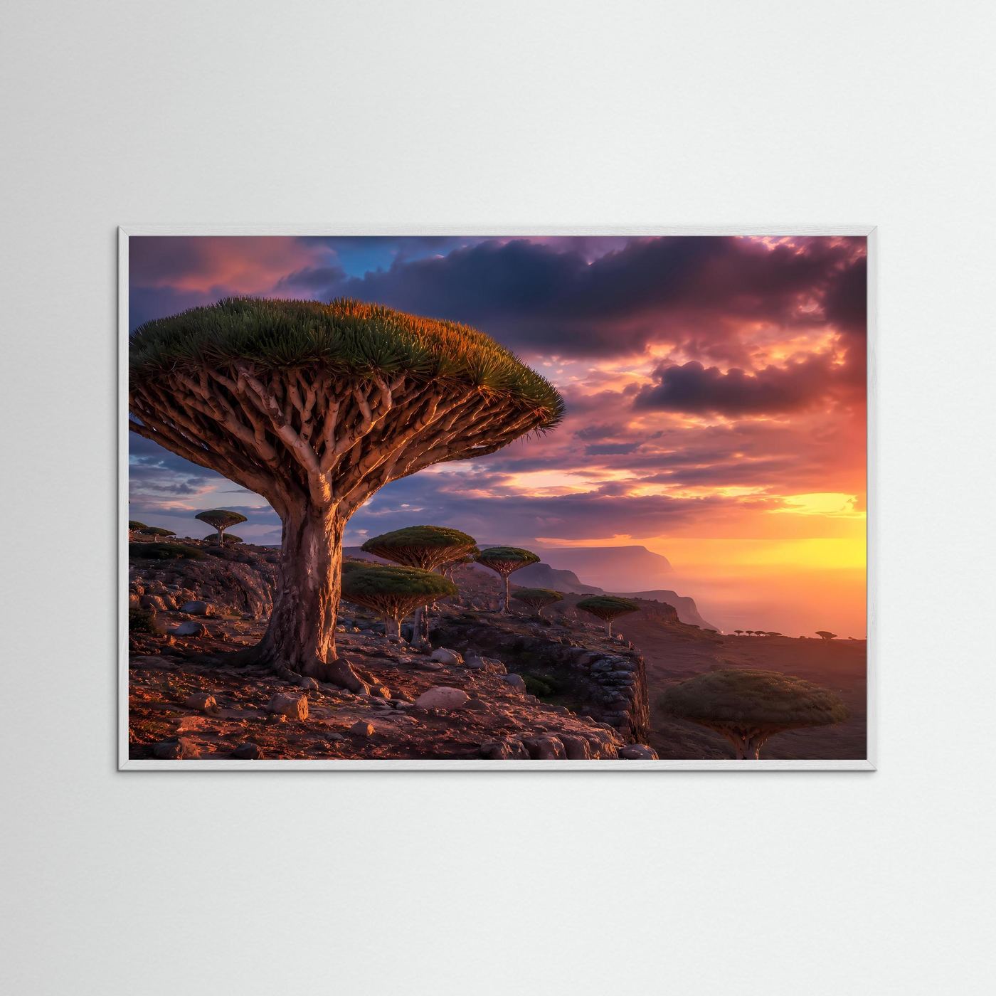 Magischer Drachenbaum-Sonnenuntergang | Sokotra & Exotische Natur Poster Querformat